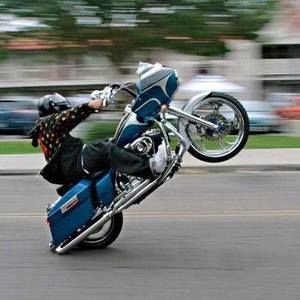 Meet your Posher, Ernie